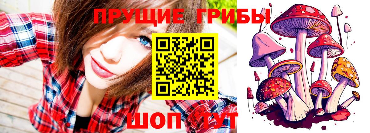 Ростов-на-Дону  Псилоцибиновые грибы ЛСД  Вход с VPN 